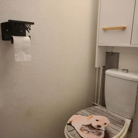 Daire St Lary Village-vue Montagne.